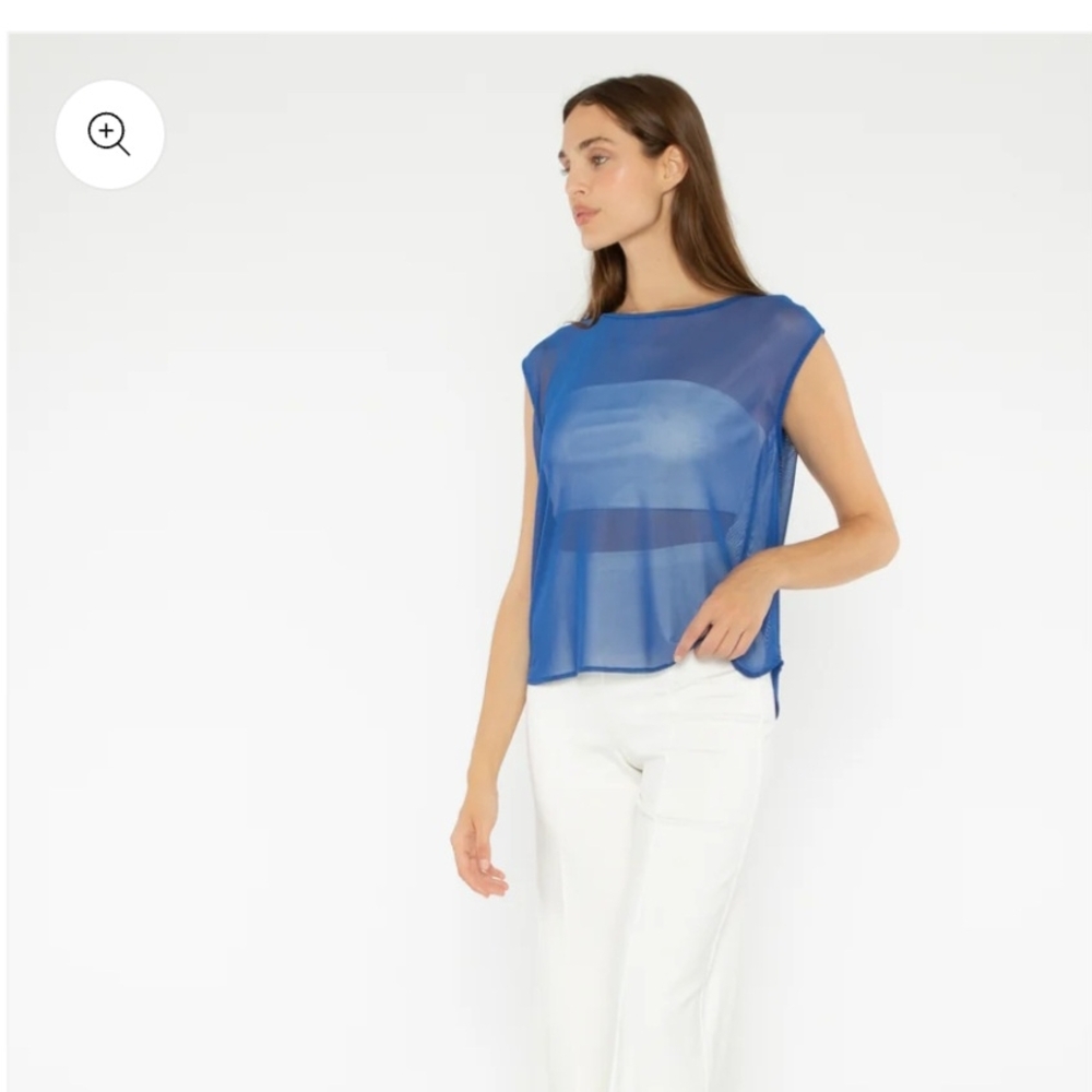 Chic Sheer Blue Women's Blouse